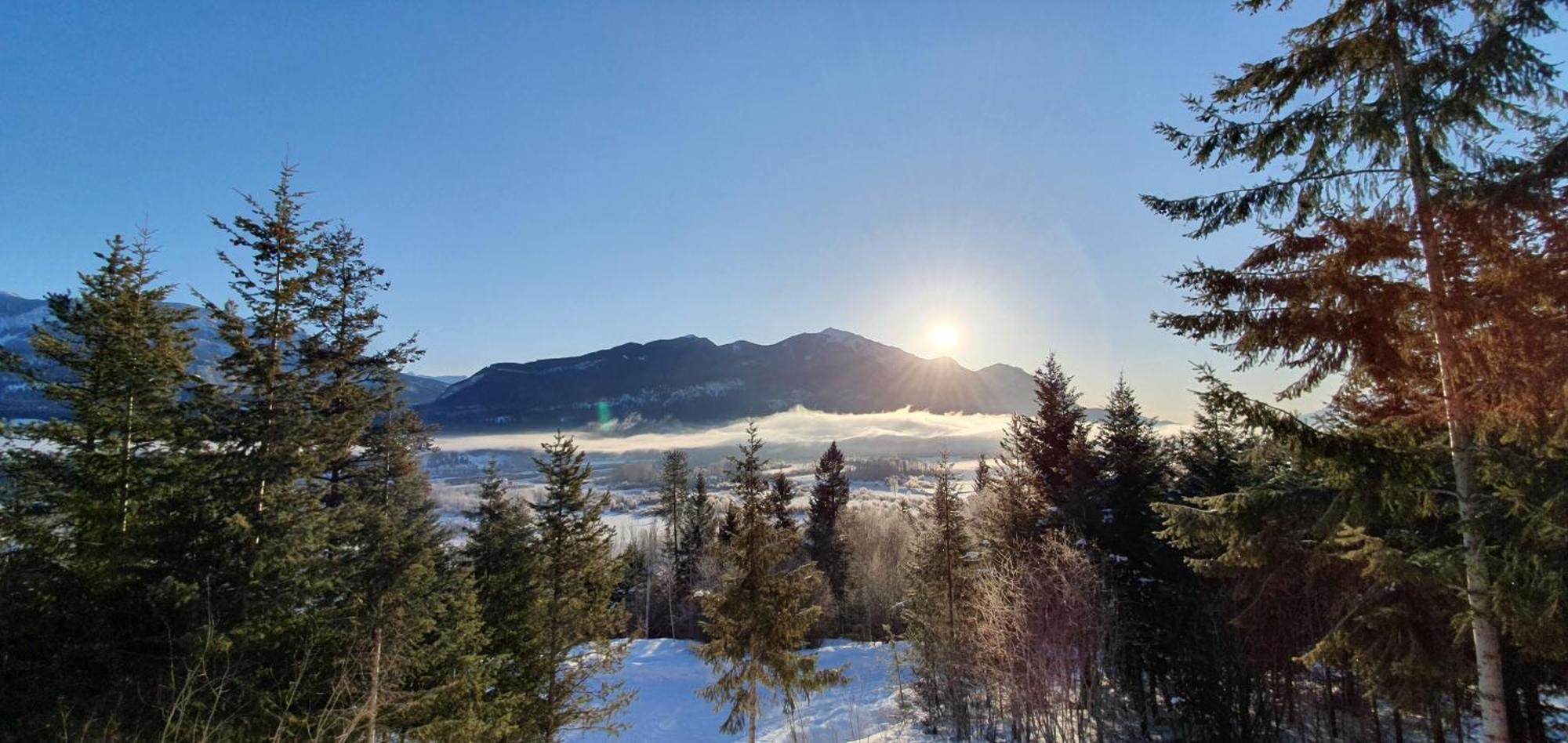Alpine Meadows Lodge Golden Bagian luar foto