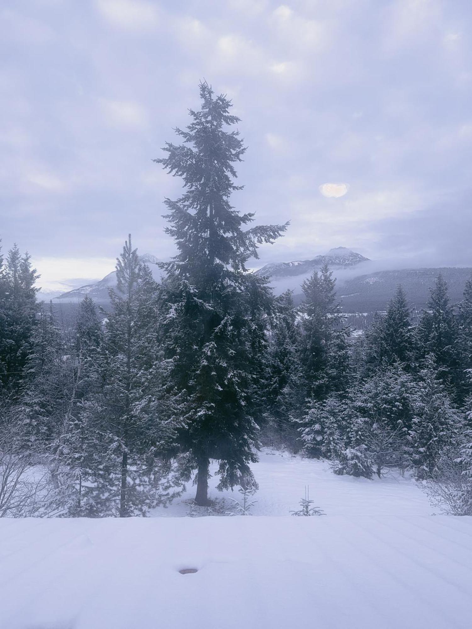 Alpine Meadows Lodge Golden Bagian luar foto